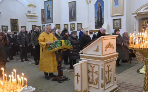 Неделя Сыропустная - богослужение в Троицком соборе фото 11