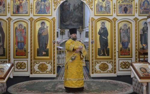 Неделя Сыропустная - богослужение в Троицком соборе фото 12