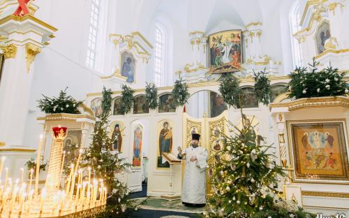 Праздник Крещения Господня в Троицком соборе фото 20