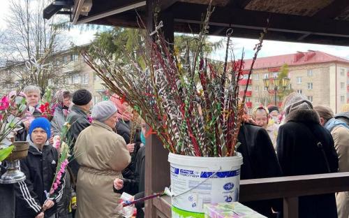 Вербное воскресенье на приходе Троицкого собора г. Слонима фото 35